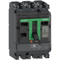 Wyłącznik zasilania Schneider Electric C25W3MA220 1 szt.
