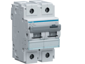 Wyłącznik nadprądowy C 125A 2P 10kA HMF299 HAGER