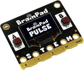 BrainPad Pulse