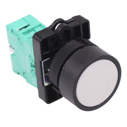 Techna PtecPNWhite White Flush Push Button Switch 10A 1NO