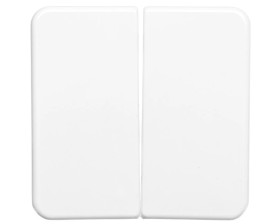 Berker IP44 Klawisz podwójny p/t bryzgoszczelne IP44 biały 53155299