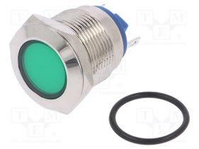 IND19-24G-C
