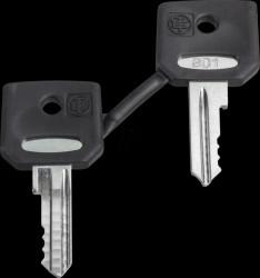 ZBD8D1 Spare keys for key-operated switch, 8D1, 2 pieces