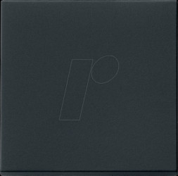 0296005 Rocker switch, matt black