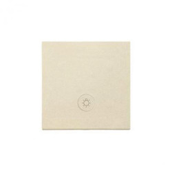 Simon 55 Klawisz pojedynczy z oczkiem z piktogramem światło do: SP1M Szampański mat TKWS1L/144