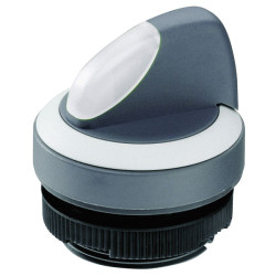 Rafi 1302721022200 Selector Switch Latch 1 x 90&#xB0; White LED &#xD8;29.8mm