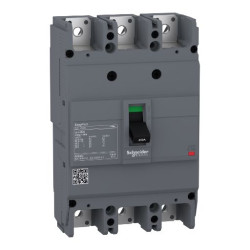 Wyłącznik kompaktowy MCCB, Typ D, 3-biegunowy, 175A, 550V, 250V, Stałe, Schneider Electric, EZC250H