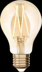 1410126671 WiZ Whites Filament A60 E27 Amber