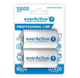 AKUM.R20 10AH EVERACTIVE