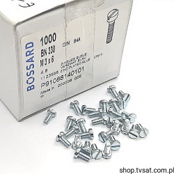 1123556 M3X6/BN330 DIN84A SCREW BOSSARD