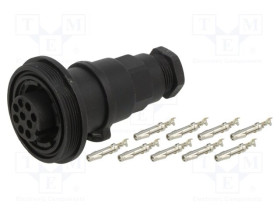 PXV0729/S