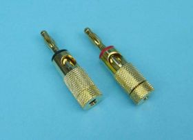 WT.BANANKOWY ZŁOTY 5mm FI