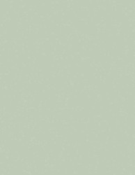 Folie do polerowania złączy światłowodowych, Tlenek aluminium, dł.: 280mm, szer.: 216mm, 1μm, Zielony