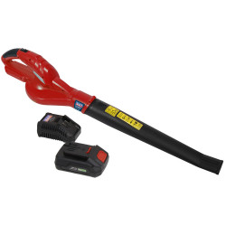 Sealey CB20VCOMBO2 Leaf Blower Cordless 20V with 2Ah Battery &amp; Charger