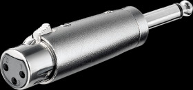 XLR socket to 6.3 mono jack plug.