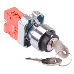 Techna PtecMetK2CRL 2 Position Metal Key Switch 10A 1NC