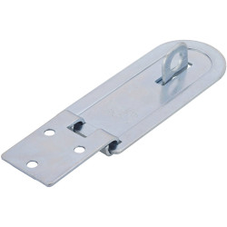 Burg Wächter 37811 Safety Hasp Weather-Proof Lock with Brass &amp; Steel