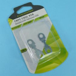 100A BEZPIECZNIK TAŚMOWY HSB 42x12 2szt