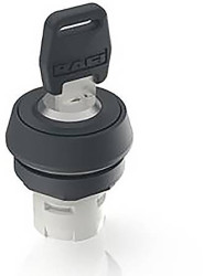 RAFI 1.30.076.121/0000 RAFIX 16 Przełącznik kluczykowy 1 x 90 ° 1 szt.