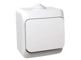 CEDAR PLUS Wyłącznik pojedynczy IP44 biały WDE000510 SCHNEIDER ELECTRIC