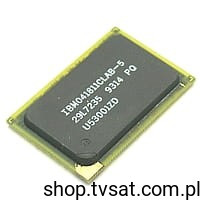 IBM041811CLAB-5 1Mbit SRAM SMD-BGA119 IBM