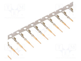 FKCP03401A