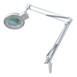 VTLAMP2WN