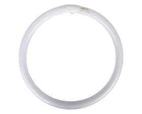 Świetlówka kołowa G10q 40W 830 3000K TLE ciepłobiała 8711500284761