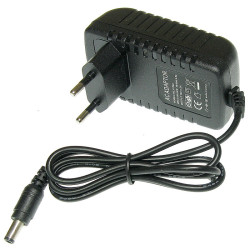 Zasilacz ZI 12V/2A Wtyk 2,5/5,5 Impulsowy, NEPower