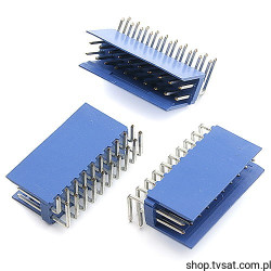 1-281742-0 Connector Vertic 2x10 Pin THT AMP