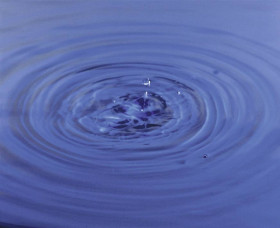 Paski testowe do pomiaru azotanów Stelzner, 6 szt.