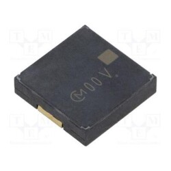 55PKLCS1212E24A0-R1