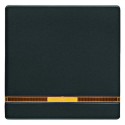 Klawisz z 2 dołączonymi soczewkami Berker Q.1/Q.3 antracyt aksamit 16216086