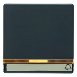 Klawisz z 2 dołączonymi soczewkami i polem opisowym Q.1/Q.3 antracyt aksamit 16286076