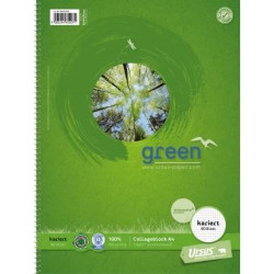 Ursus Classic Zeszyt studencki 608570020 zielony DIN A4 w kratkę Ilość arkuszy: 80