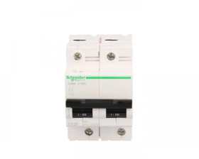 Wyłącznik nadprądowy C120N-C125-2 A9N18363