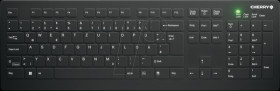 AK-C8112-FUS-B/DE Wireless keyboard, USB, IP68, can be disinfected, black, QWERTZ
