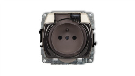 Trend Gniazdo Bryzgoszczelne Z/U (Klapka Dymna) Beżowy 1Gpb-1Zdp