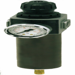 Regulator filtra SAM 1/2 cala 19876