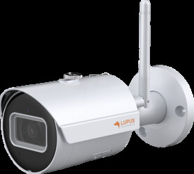 10202 Surveillance camera, IP, LAN, WLAN, outdoor