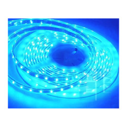 TAŚMA ELASTYCZNA LED NIEBIESKA 12V - 0,5m w osłonie