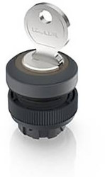 RAFI 1.30.245.003/0100 RAFIX 22 QR Przełącznik kluczykowy 1 x 40 ° 1 szt.