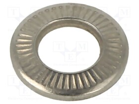 B6/BN21205