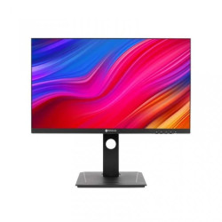 Monitor LED 24 WQHD 2K do pracy 18/7 połączenie USB-C 65W z regulacją pracy pion/poziom/nachylenie, Displayport, HDMI DW2401