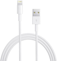 Apple Kabel USB B-Ware (uszkodzony / brakujące opakowanie) USB 2.0 Złącze męskie USB-A, Złącze męskie Lightning 1.00 m b
