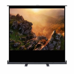 EKRAN RĘCZNY STOJĄCY 80 123x163cm PS-80 4:3 ART