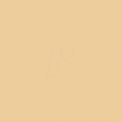 PL0502021 Permanent vinyl film - 31.5 cm x 1 m - beige