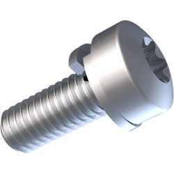 Combination screw, TX, M3, Ø 5.6 mm, 8 mm, steel, galvanized, ISO 14583, 081.55.332