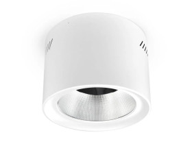 Downlight Natynkowy LED Phoenice 35W 3000-5700K IP64 Philips Driver