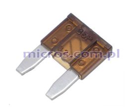 BsaMA07.5 BP BsaMA07.5 BP